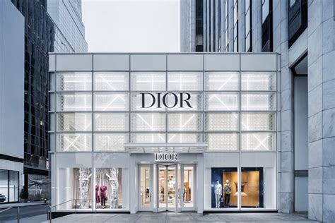 dior usa buy online|dior usa shop.